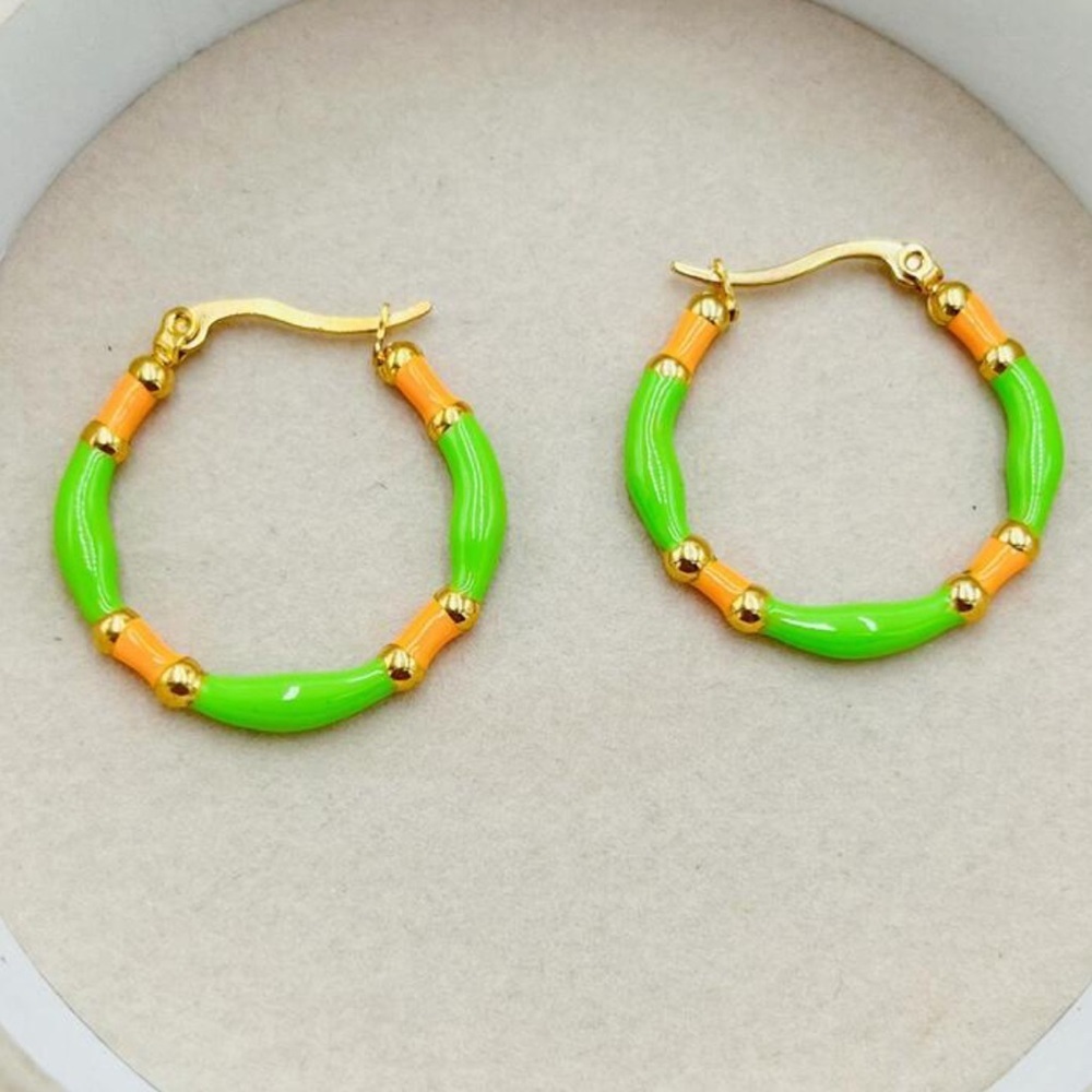 Stainless steel colorful enamel hoop earrings